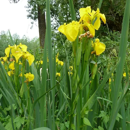 Le Pre De Bonhomme 住宿加早餐酒店